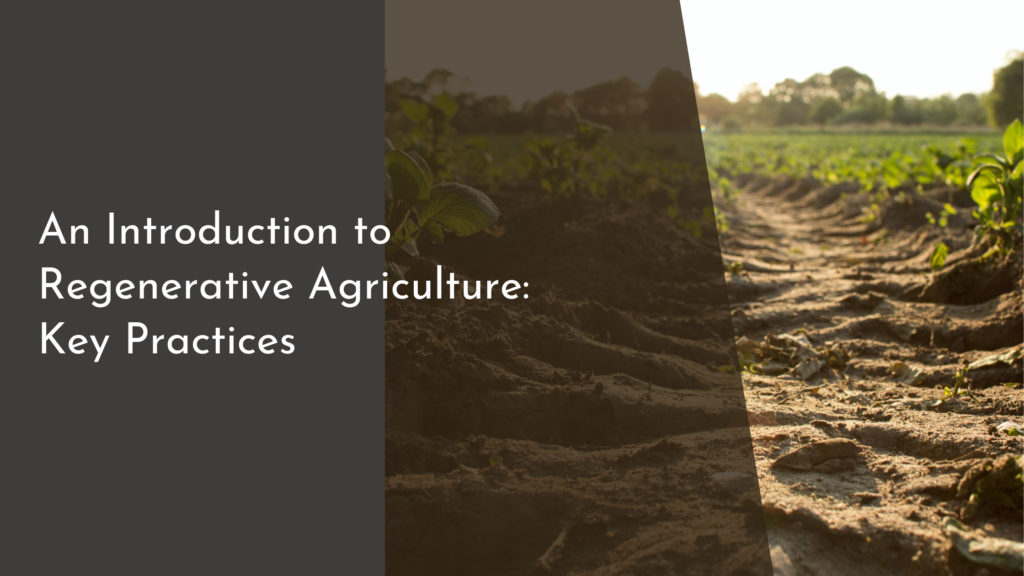 An Introduction to Regenerative Agriculture: Key Practices