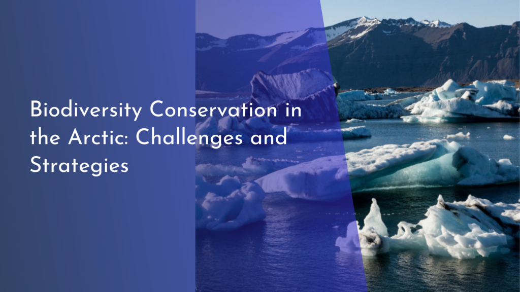 Biodiversity Conservation in the Arctic: Challenges and Strategies