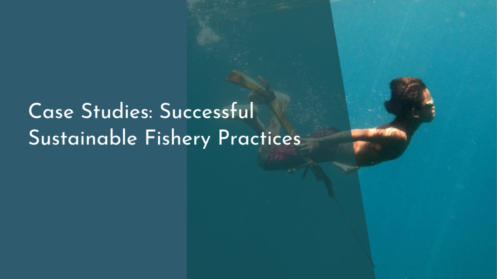 Case Studies: Successful Sustainable Fishery Practices