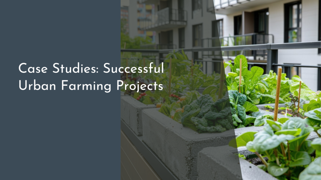 Case Studies: Successful Urban Farming Projects