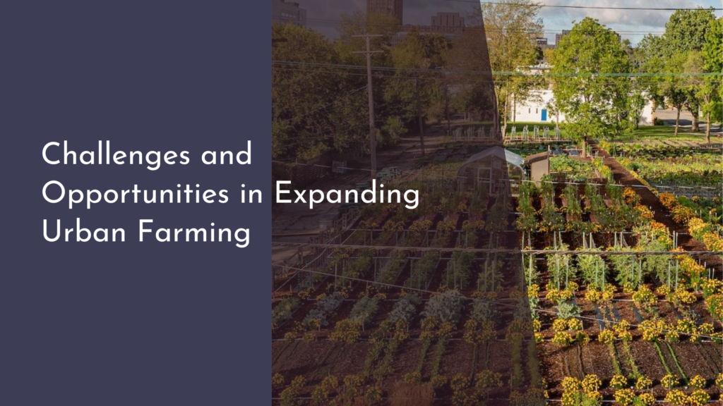 Challenges and Opportunities in Expanding Urban Farming