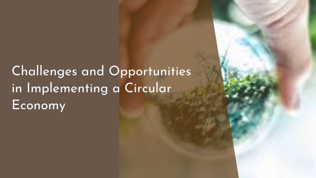 Challenges and Opportunities in Implementing a Circular Economy