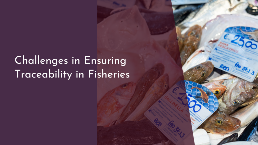 Challenges in Ensuring Traceability in Fisheries