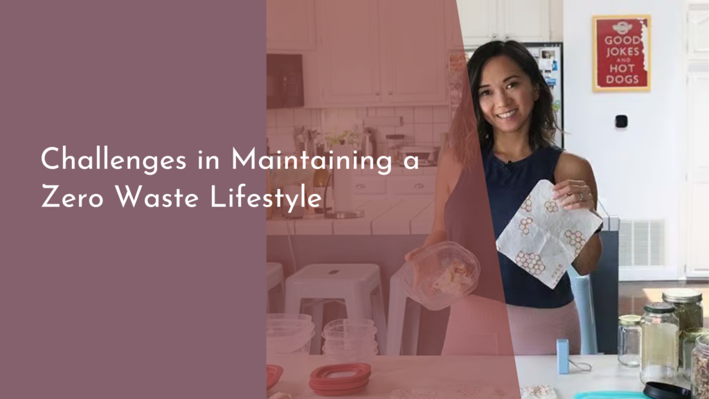 Challenges in Maintaining a Zero Waste Lifestyle