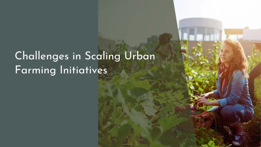 Challenges in Scaling Urban Farming Initiatives