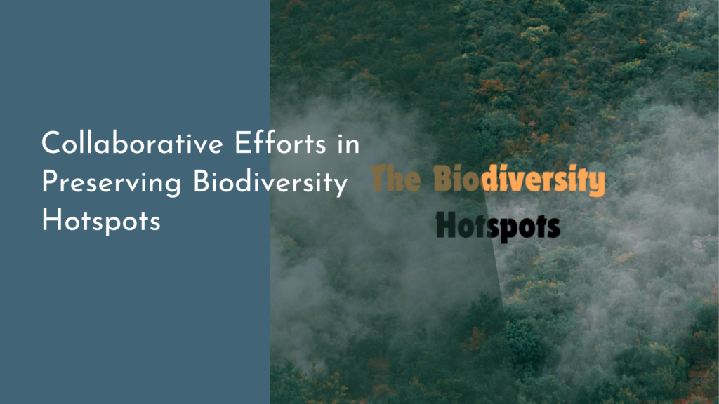 Collaborative Efforts in Preserving Biodiversity Hotspots