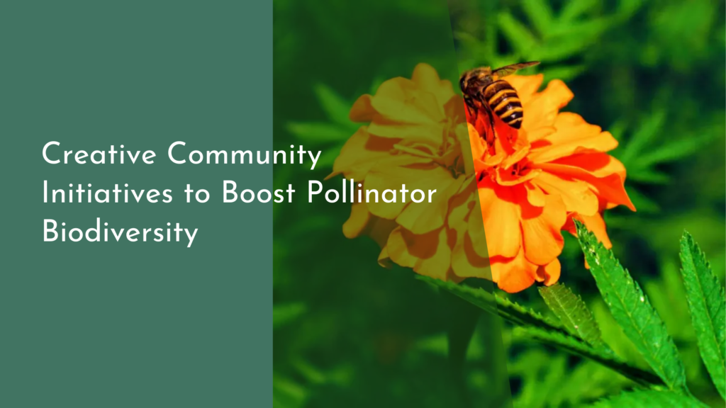 Creative Community Initiatives to Boost Pollinator Biodiversity