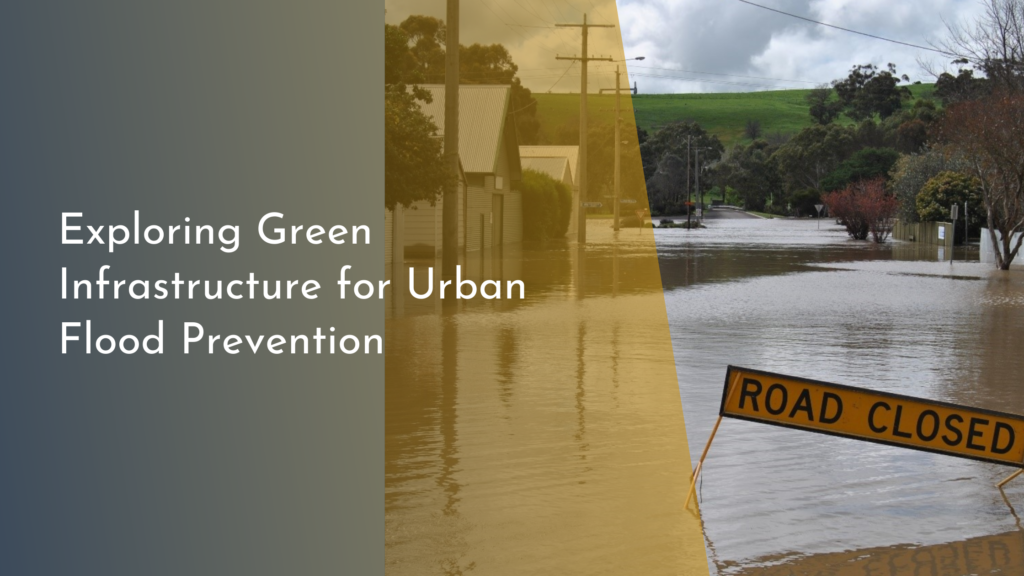 Exploring Green Infrastructure for Urban Flood Prevention