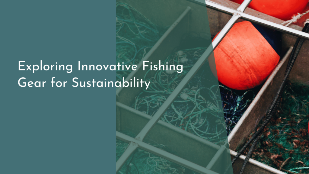 Exploring Innovative Fishing Gear for Sustainability