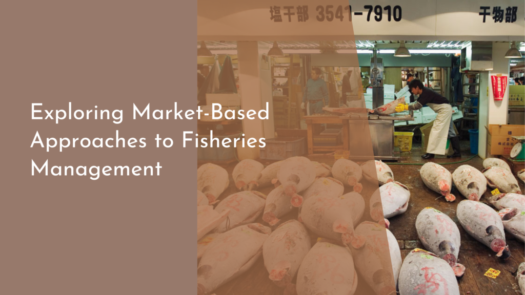 Exploring Market-Based Approaches to Fisheries Management