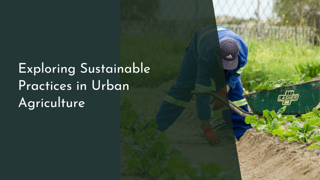 Exploring Sustainable Practices in Urban Agriculture