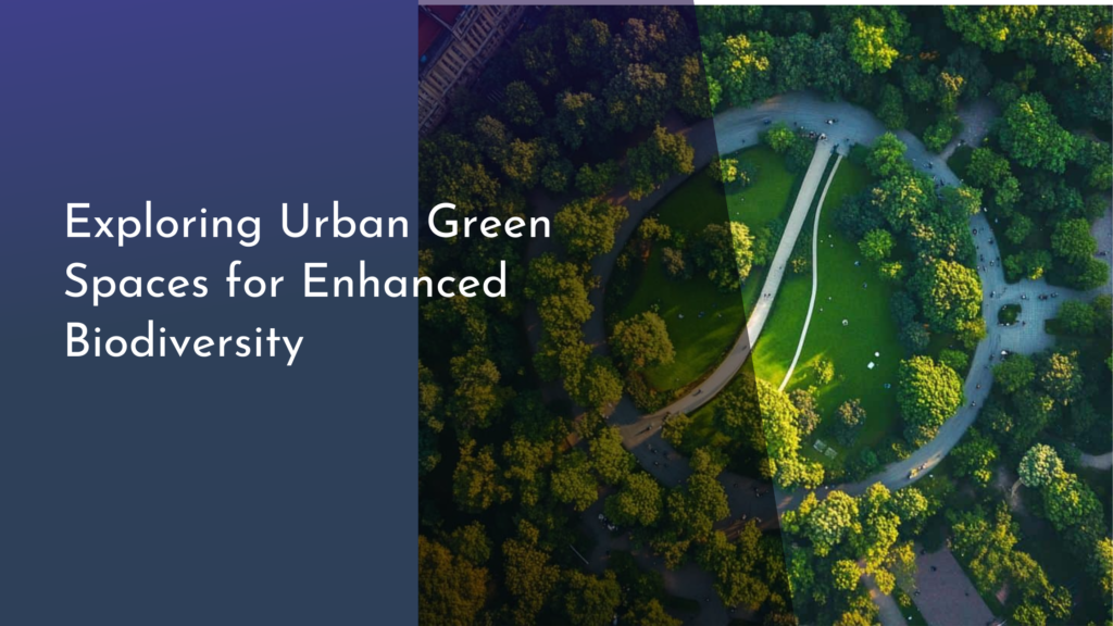 Exploring Urban Green Spaces for Enhanced Biodiversity