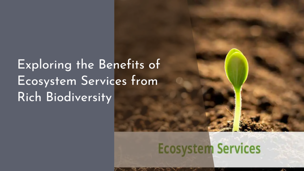 Exploring the Benefits of Ecosystem Services from Rich Biodiversity