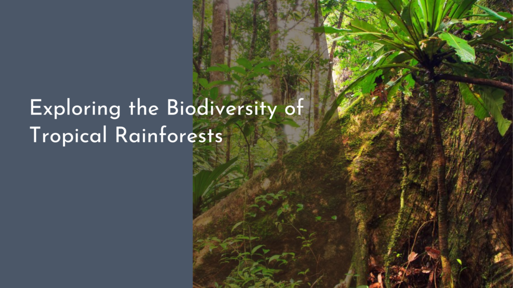 Exploring the Biodiversity of Tropical Rainforests