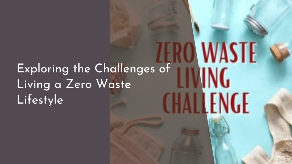 Exploring the Challenges of Living a Zero Waste Lifestyle