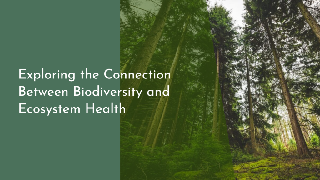 Exploring the Connection Between Biodiversity and Ecosystem Health