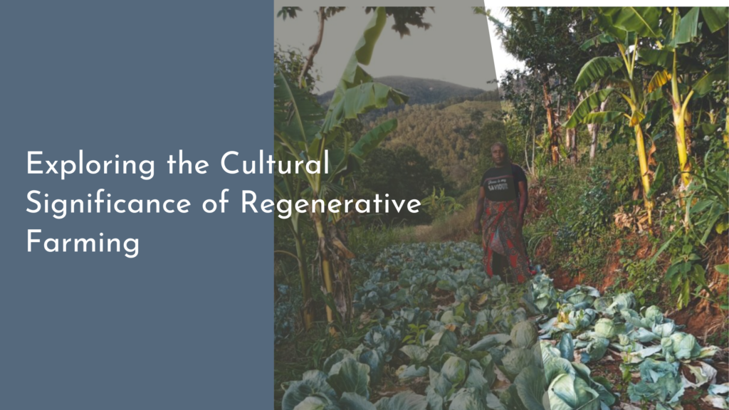 Exploring the Cultural Significance of Regenerative Farming