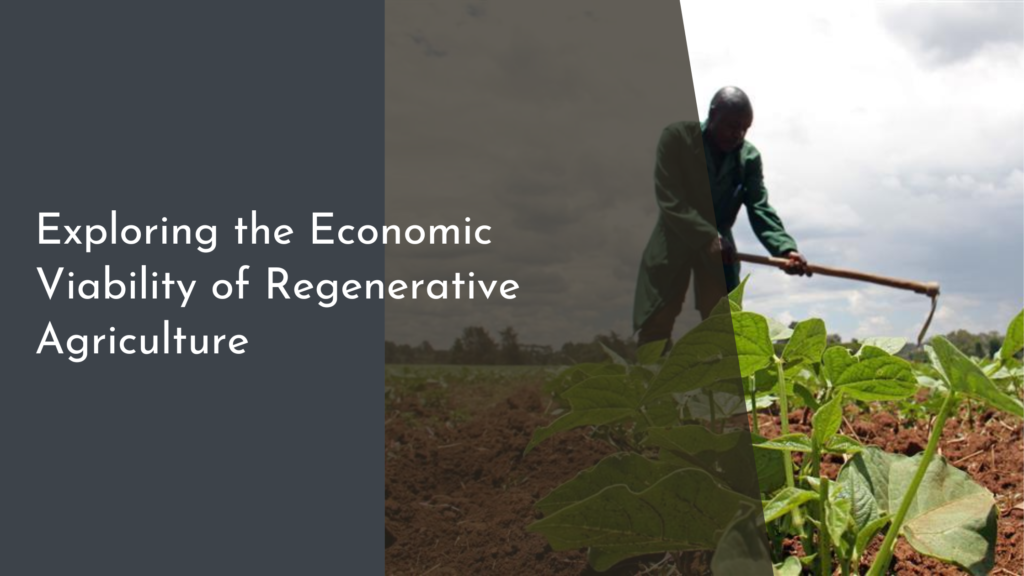 Exploring the Economic Viability of Regenerative Agriculture