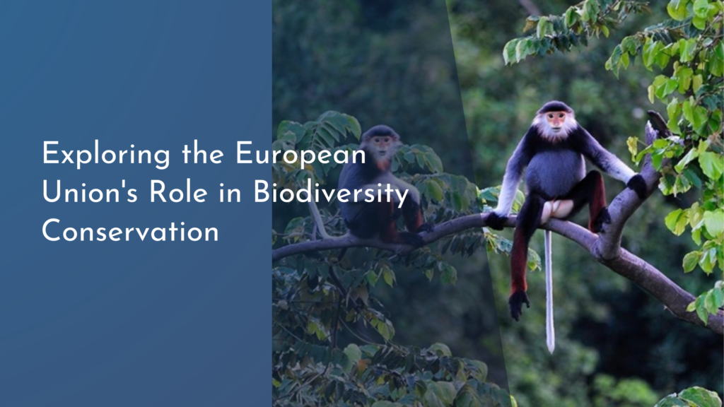 Exploring the European Union’s Role in Biodiversity Conservation