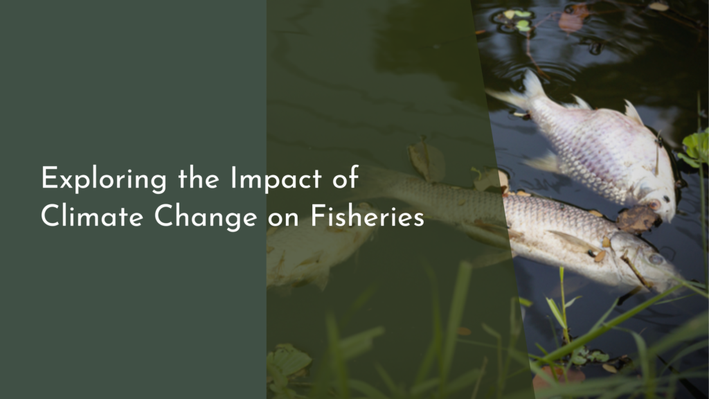 Exploring the Impact of Climate Change on Fisheries