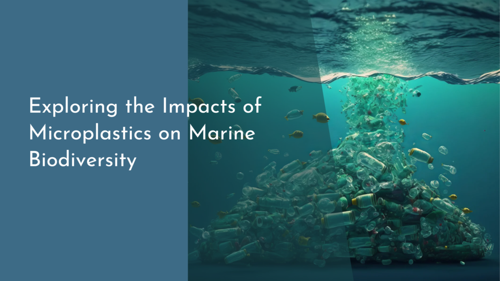 Exploring the Impacts of Microplastics on Marine Biodiversity