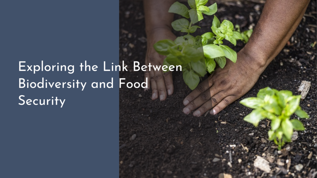 Exploring the Link Between Biodiversity and Food Security