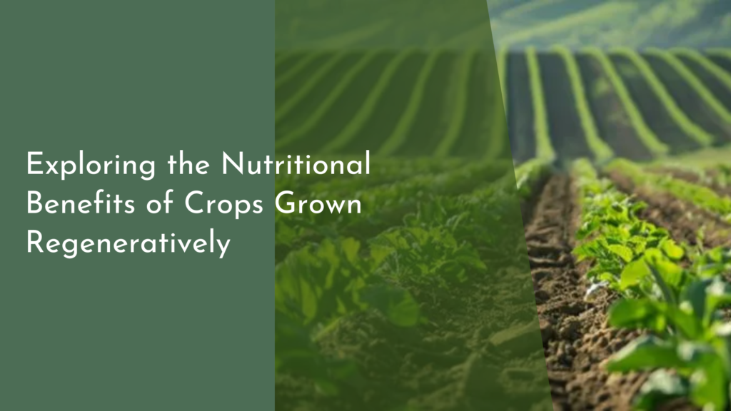 Exploring the Nutritional Benefits of Crops Grown Regeneratively