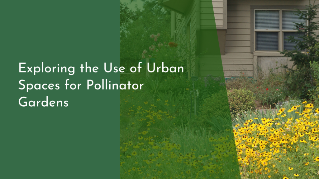 Exploring the Use of Urban Spaces for Pollinator Gardens