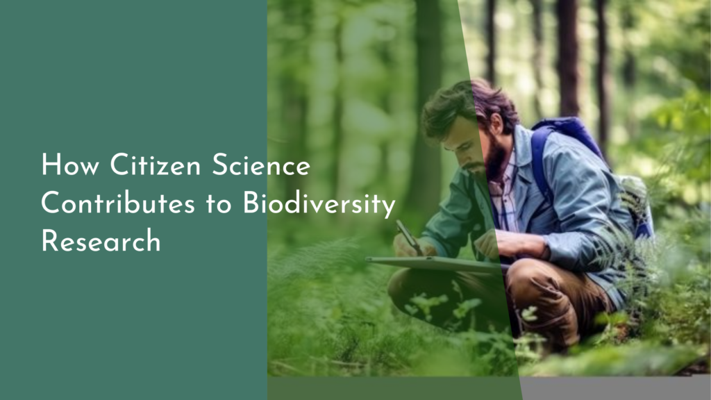 How Citizen Science Contributes to Biodiversity Research