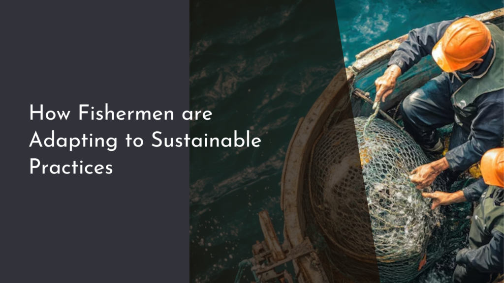 How Fishermen are Adapting to Sustainable Practices