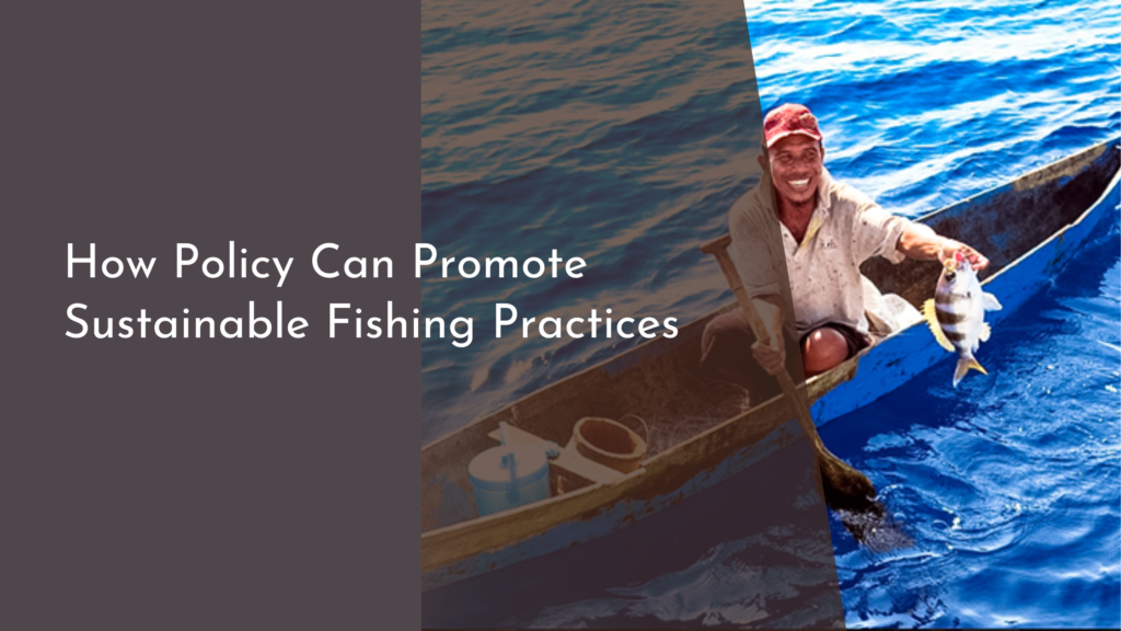 How Policy Can Promote Sustainable Fishing Practices