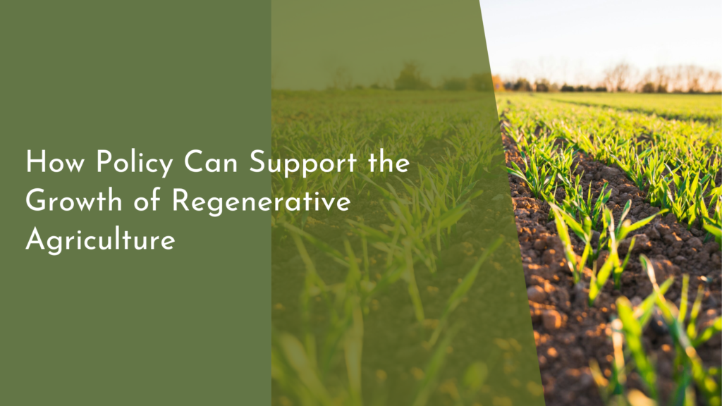 How Policy Can Support the Growth of Regenerative Agriculture