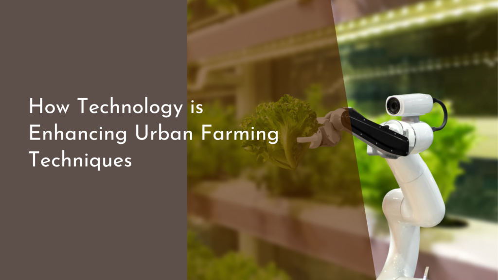 How Technology is Enhancing Urban Farming Techniques