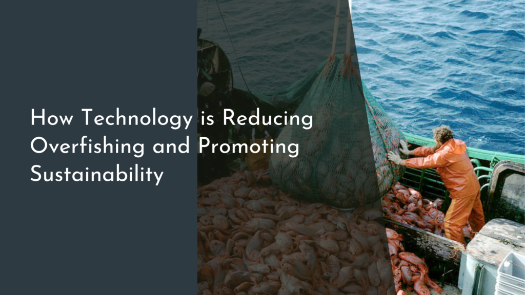 How Technology is Reducing Overfishing and Promoting Sustainability