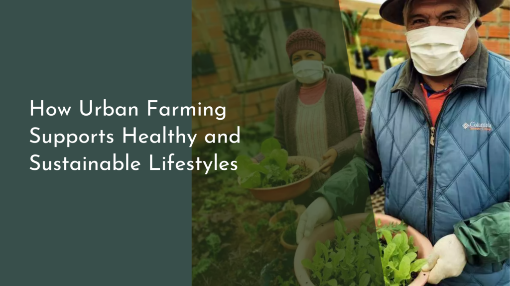 How Urban Farming Supports Healthy and Sustainable Lifestyles