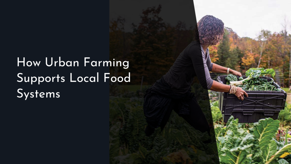 How Urban Farming Supports Local Food Systems