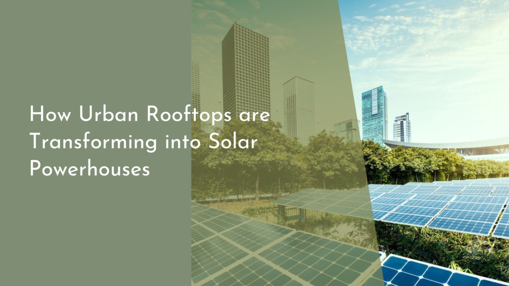 How Urban Rooftops are Transforming into Solar Powerhouses