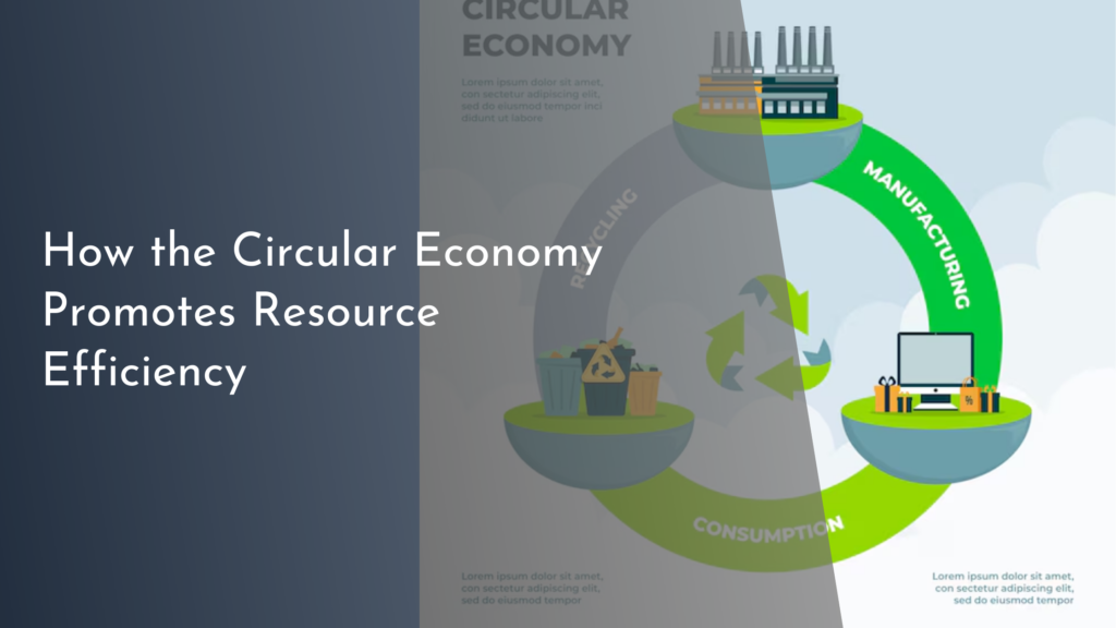 How the Circular Economy Promotes Resource Efficiency