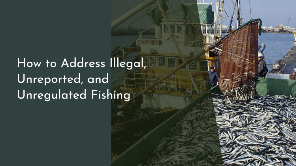 How to Address Illegal, Unreported, and Unregulated Fishing