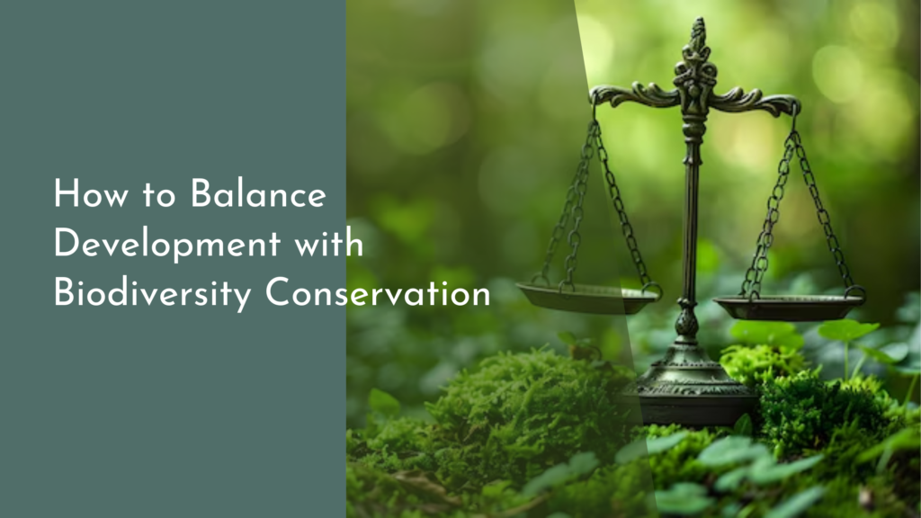 How to Balance Development with Biodiversity Conservation