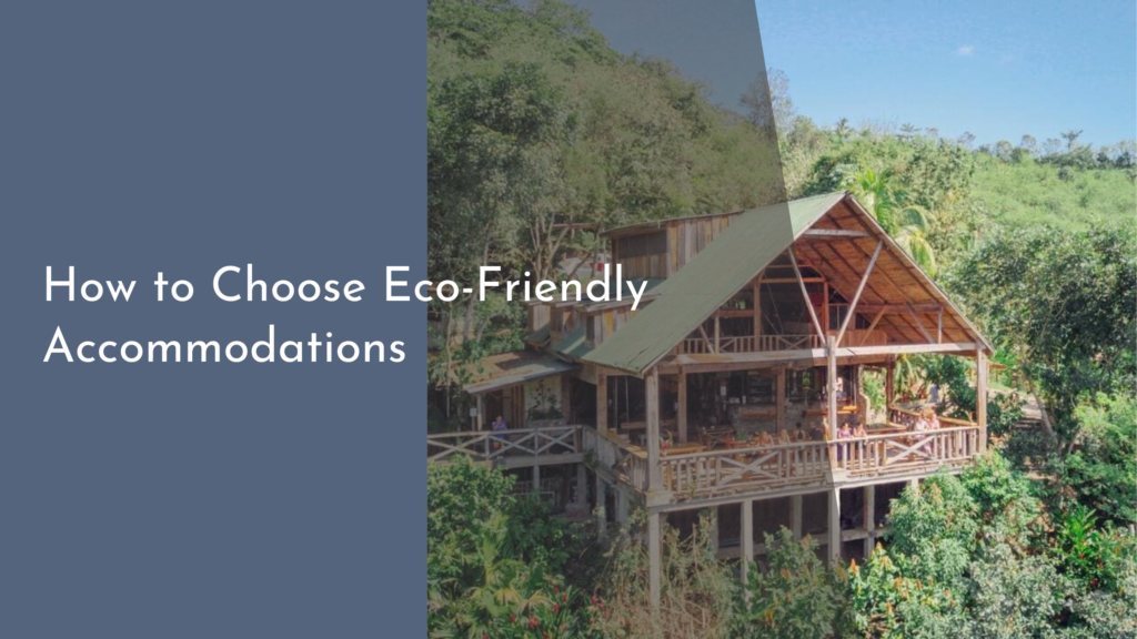 How to Choose Eco-Friendly Accommodations