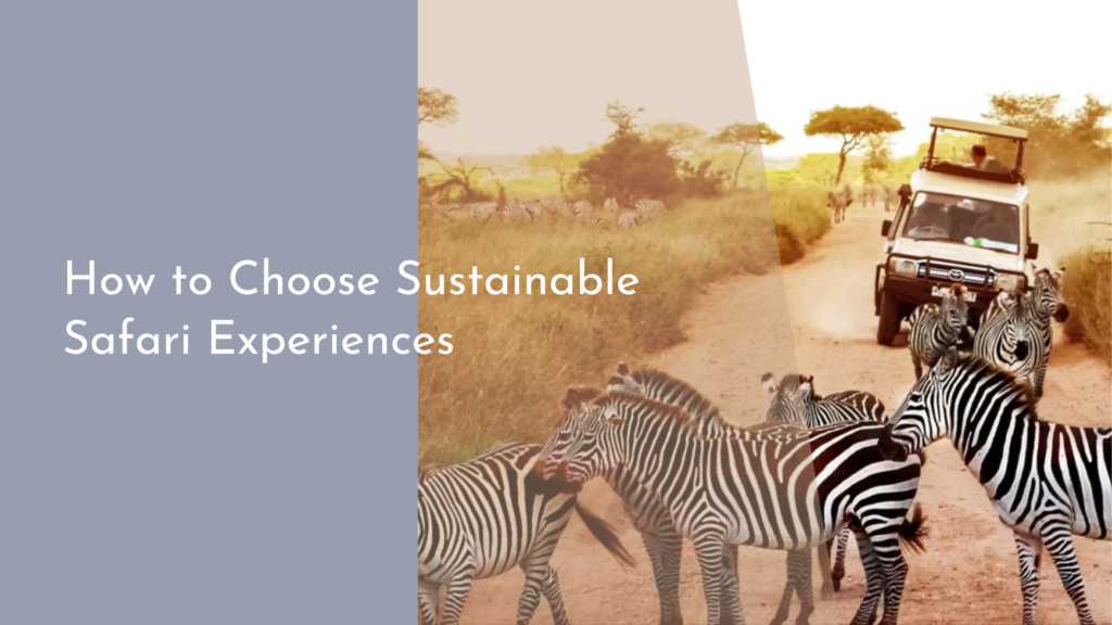 How to Choose Sustainable Safari Experiences