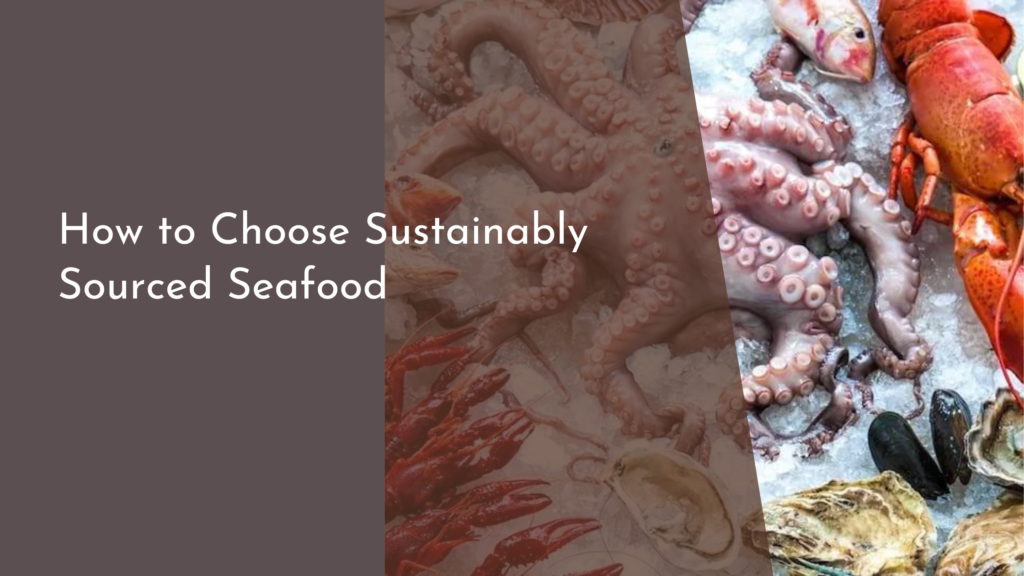 How to Choose Sustainably Sourced Seafood