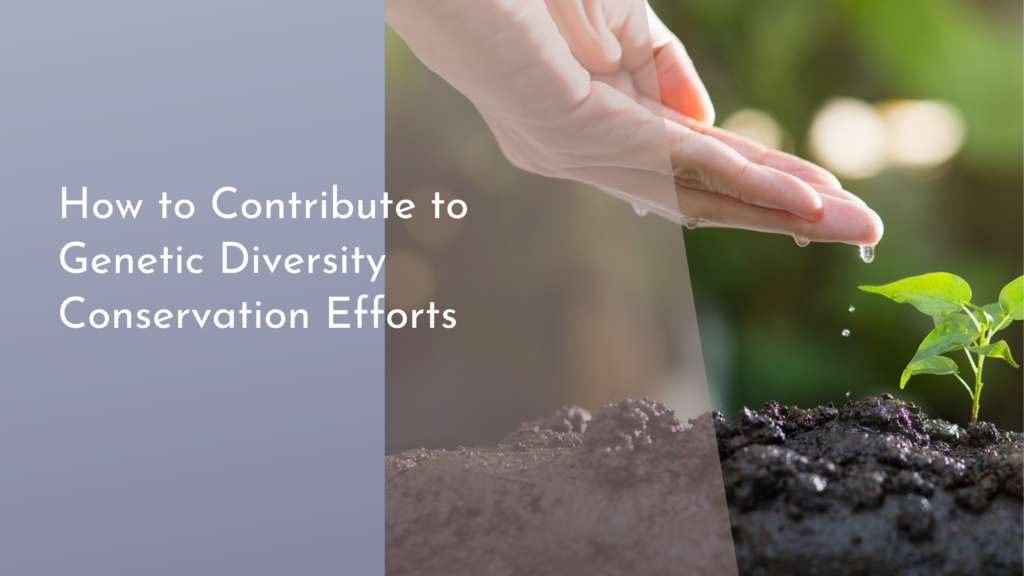 How to Contribute to Genetic Diversity Conservation Efforts