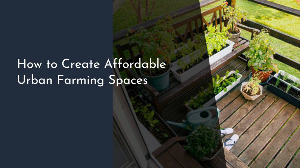 How to Create Affordable Urban Farming Spaces