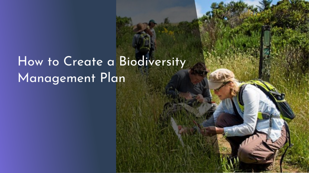 How to Create a Biodiversity Management Plan