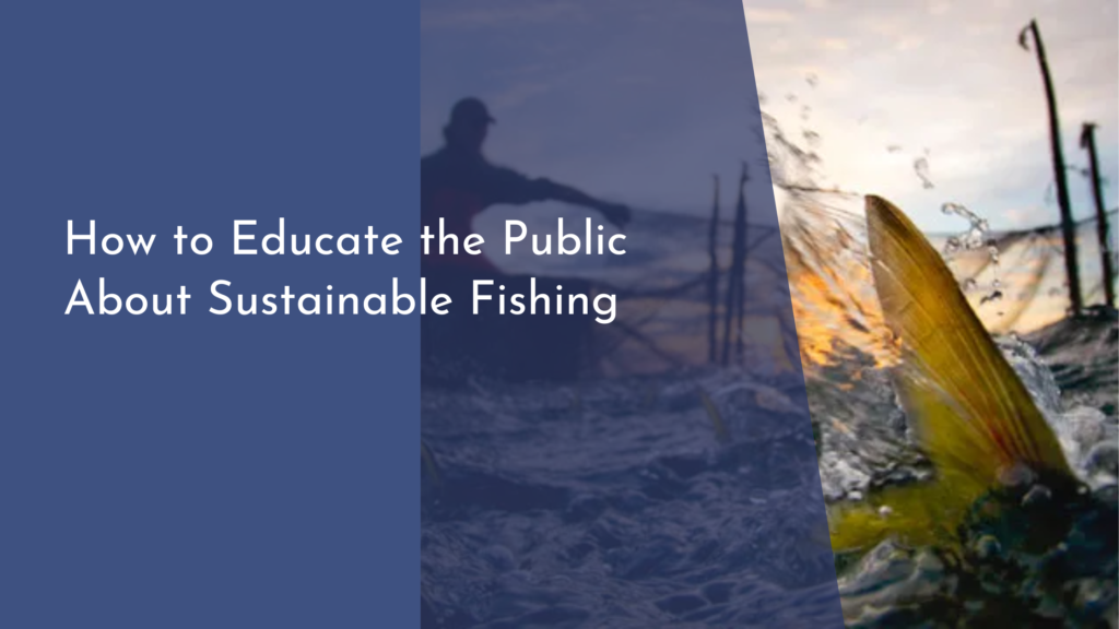 How to Educate the Public About Sustainable Fishing