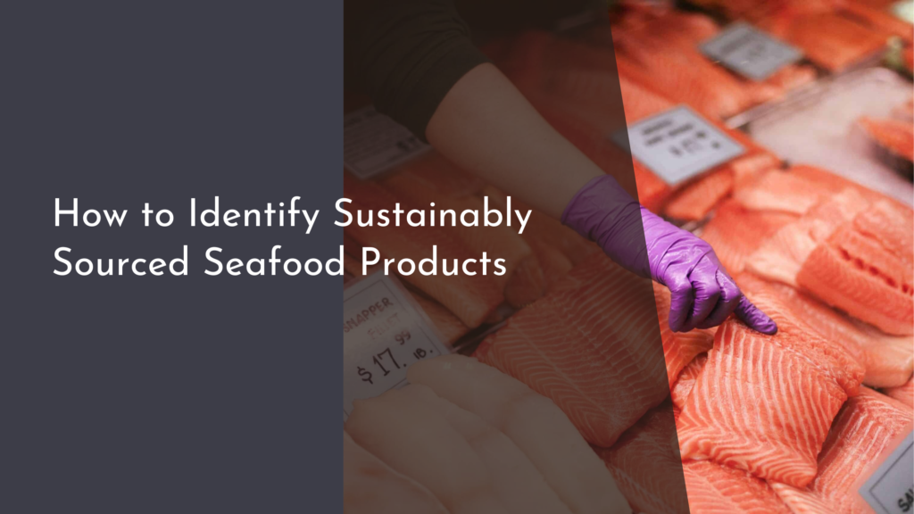 How to Identify Sustainably Sourced Seafood Products