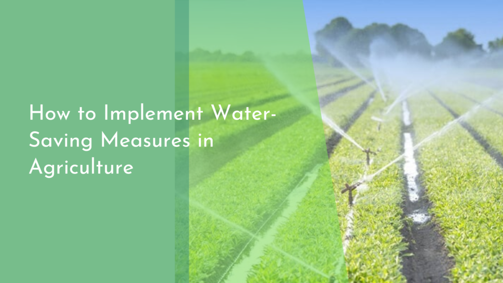 How to Implement Water-Saving Measures in Agriculture