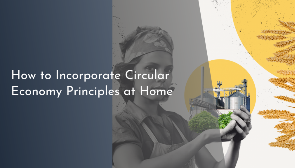 How to Incorporate Circular Economy Principles at Home